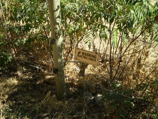 The trail initially follows the electric fence for a short distance, McIntyre Bluff 2011-09.